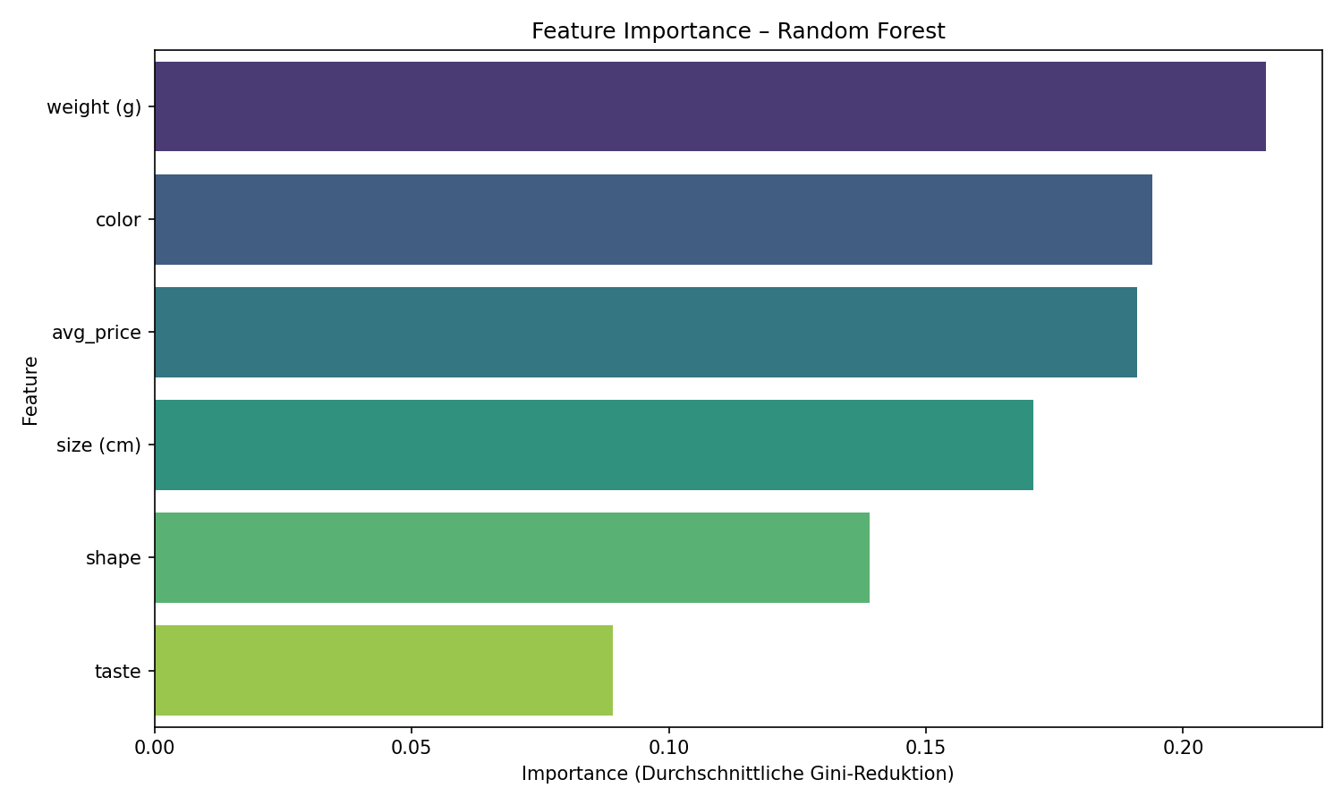 Feature Importance